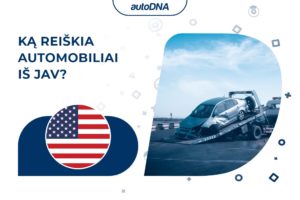 Ką reiškia automobiliai iš JAV_LT