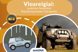 Visureigiai Laukiniai Nuotykiai Populiariausiame Transporte