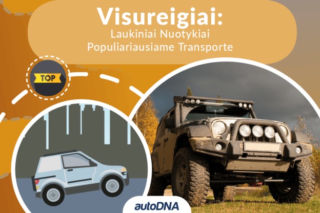 Visureigiai Laukiniai Nuotykiai Populiariausiame Transporte