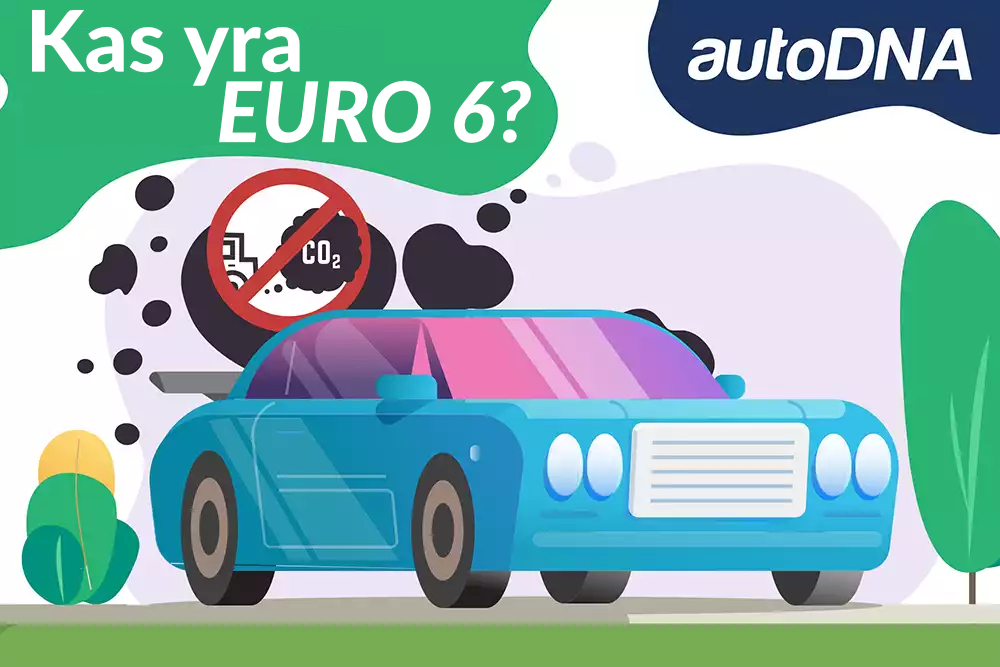 EURO 6